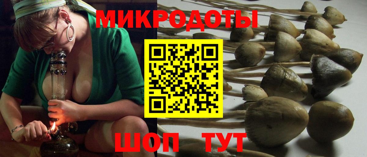 где купить   Вход с VPN  Клинцы  Псилоцибиновые грибы MAGIC MUSHROOMS 